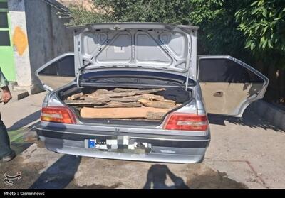  دستگیری 7 قاچاقچی چوب و زغال در چرام