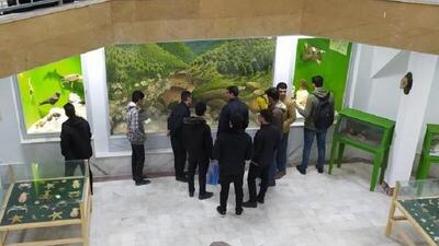  اتمام  فاز اول گنجینه محیط زیست ایران