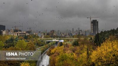 رگبار باران در شمال و جنوب کشور/ وزش باد شدید در برخی استان‌ها