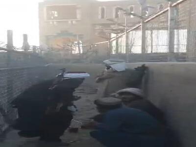  ادامه درگیری پاکستان و افغانستان در مرز سپین‌بولدک
