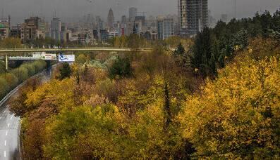 رگبار باران در شمال و جنوب کشور