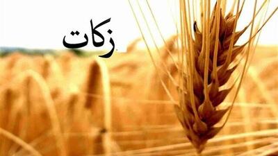  کردستانی‌ها ۸۱ میلیارد تومان زکات پرداخت کردند