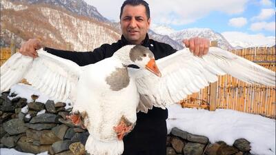  خت مرغابی بریانی در تنور روستایی آذربایجان در هوای برفی (فیلم)