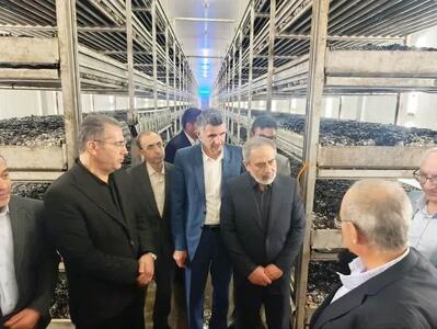  بازدید معاون اقتصادی استانداری قزوین از شرکت جلگه صدف آبیک 