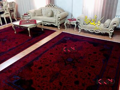  فرش قرمز روی پارکت | اقتصاد24
