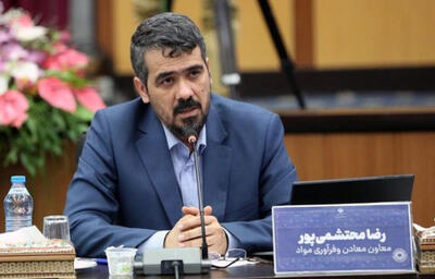  سامانه‌ای که باید اطلاعات تولیدات معدنی کشور در آن ثبت شده باشد کاملا خالی است/ اطلاعات مهم معدنی کشور به جای ثبت در سامانه در کشو و کارتابل ها نگه داشته می‌شود