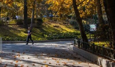 دمای هوای تهران از جمعه کاهش می‌یابد