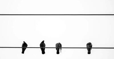  نوع متفاوتی از تنهایی