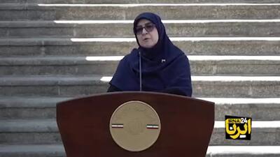 مهاجرانی: دولت مصوبه‌ای در خصوص بنزین نداشته است