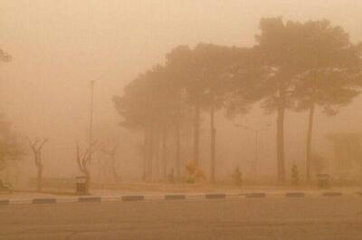  طرح‌های عملیاتی مقابله با ریزگردهای منطقه سیستان اجرا می‌شود