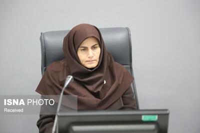  برگزاری نشست اکو ‌فرصتی ارزشمند برای معرفی توانمندی‌ها و ظرفیت‌های زنجان است