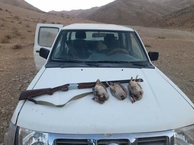  ۱۲ متخلف شکار و صید در اقلید به دام افتادند