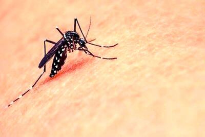  شیوع هشداردهنده یک بیماری خطرناک در این استان/ تعداد مبتلایان به ۷۰ نفر رسید