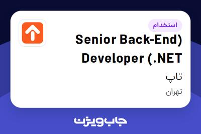 استخدام (Senior Back-End Developer (.NET در تاپ
