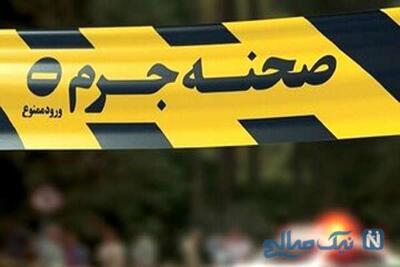 تراژدی در قلب دانشگاه تهران: قتل تلخ «زهرا قائمی»، پژوهشگر مطالعات زنان و خانواده، به دست همسرش؛ قربانی شدن فردی که خود درباره خشونت خانگی آگاهی می‌داد!