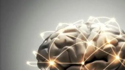 راز پیشگیری از آلزایمر با رژیم پر از چربی