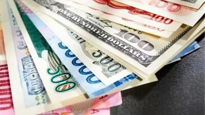 مبنای تصمیم گیری بانک مرکزی مشخص نیست | هیچ کشوری چهار نرخ ارز ندارد