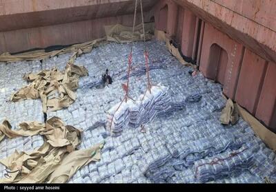 ثبت سفارش برای واردات 150 هزار تن برنج به زودی آغاز می‌شود - تسنیم