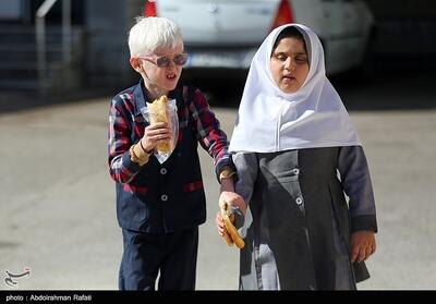  روشندلان در تاریکی شهر؛ عقب‌ماندگی تاریخی کرمان در خدمات شهری نابینایان - تسنیم