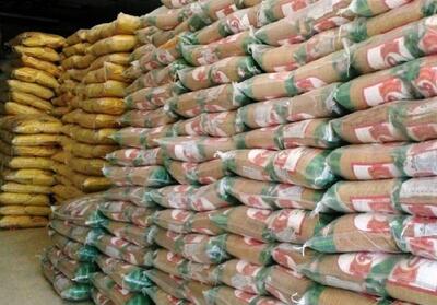 برنج پرتودهی شده، تراریخته نیست - تسنیم