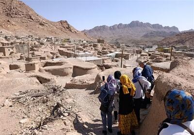  تقابل فرهنگ ایران و یونان در سایه قلعه‌های کهن و مزارع زرشک خراسان جنوبی - تسنیم
