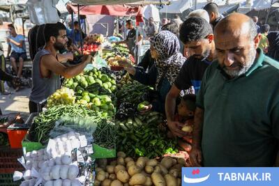  از سر گرفته شدن زندگی در خان یونس, پس از عقب‌نشینی رژیم صهیونی