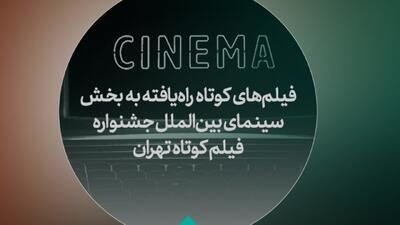 فیلم‌های راه یافته به بخش بین‌الملل جشنواره فیلم‌کوتاه تهران معرفی شدند