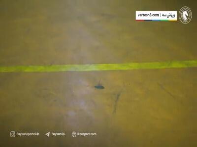  پیکانی‌ها صاحب یک سالن استاندارد شدند