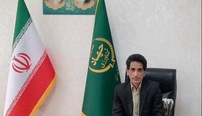  بیش از ۴۶۰۰ تن پسته از باغات زاهدان برداشت شد