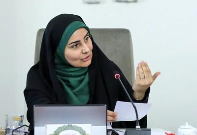  برکناری مدیرکل فرودگاه به خاطر بازرسی کیف خانم وزیر!