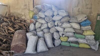  کشف بیش از ۶ تن چوب و زغال قاچاق در کهگیلویه و بویراحمد