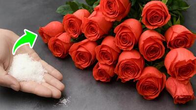 ۱۴ ترفند خانگی باورنکردنی برای آسان تر کردن زندگی!