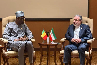  دیدار و رایزنی عراقچی با وزیر امور خارجه مالی