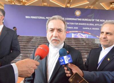 ایران؛شریک راهبردی جنبش عدم تعهد درمسیر توسعه - اکونیوز