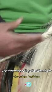  تف کردن اسب روی المیرا شریفی‌مقدم پس از خوردن قند