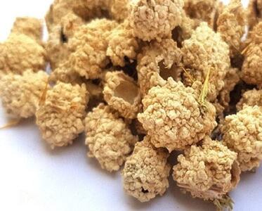  شکر تیغال چیست و چه خواصی دارد؟