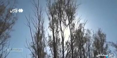  راننده‌کامیونی که شوره‌زار زرین‌دشت را تبدیل به جنگل کرد+فیلم