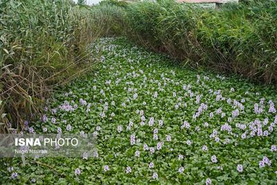  برزخ بلاتکلیفی یک ماهه برای پیمانکار آب‌بندان آغوزبن بابل