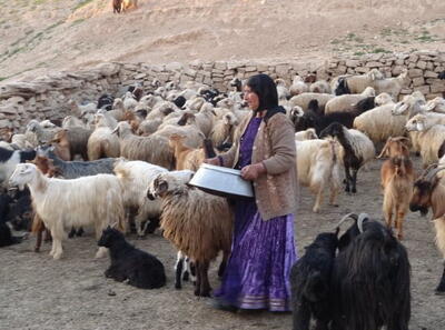  ایجاد ۵۰ هزار کسب‌وکار خرد و ۵۰۰ بازار برای زنان روستایی در دستور کار است