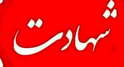  شهادت مامور مرزبان هنگ مرزی نگور | جهان نیوز