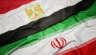 ظفرقندی: همکاری ایران و مصر در حوزه بهداشت باید تقویت شود