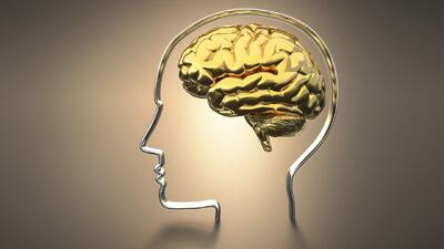 رازهای تقویت مغز با تمرینات ساده روزانه، حقایقی که باید جدی گرفت