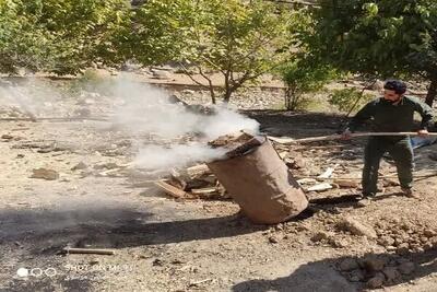  امحای بشکه‌های زغال‌گیری در الیگودرز