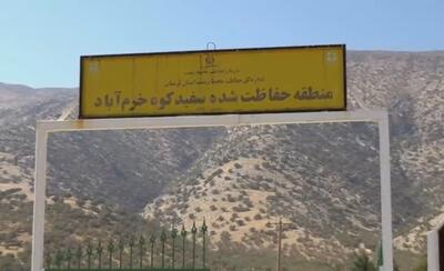 چشمان بیدار سفیدکوه؛ قلعه‌ گونه‌های نادر نگهبان می‌خواهد!