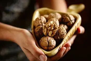 گردو؛ خوراکی کوچک با تأثیر بزرگ بر دیابت