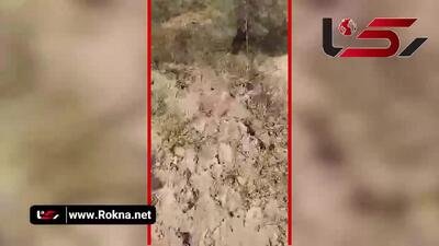 بهمنشیر، شورتر از خلیج فارس؛ این دیگر بحران نیست، اعلان سقوط تعادل زیست‌محیطی است  + فیلم