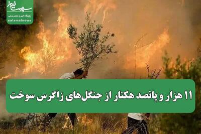 ۱۱ هزار و پانصد هکتار از جنگل‌های زاگرس سوخت