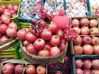  راه اندازی بازار فروش محصولات کشاورزی در طارم ضروری است