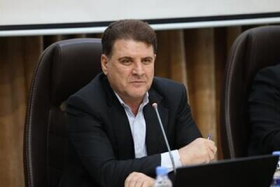  زینی‌ وند: امیدواریم انتخابات شوراها تمام الکترونیکی برگزار شود