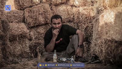  بیوگرافی شهروز دل افکار، عطا سریال شغال